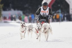 Lenzerheide 2013